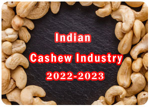 2022-2023 Indian Cashew Industry