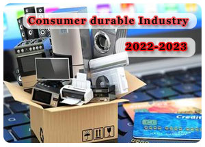 2022-2023 Indian Consumer Durables Industry