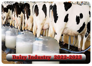 2022-2023 Indian Dairy Industry