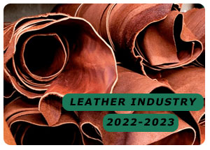 2022-2023 Indian Leather Industry