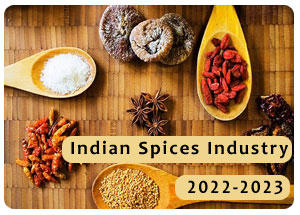 2022-2023 Indian Spices Industry