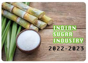2022-2023 Indian Sugar Industry