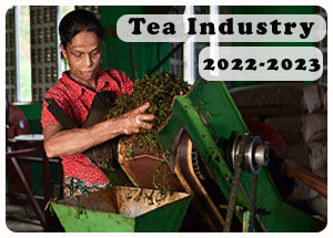 2022-2023 Indian Tea Industry