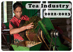 2022-2023 Indian Tea Industry 2022-2023 Indian Tea Industry
