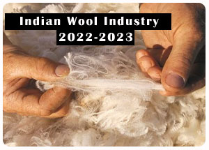 2022-2023 Indian Wool Industry