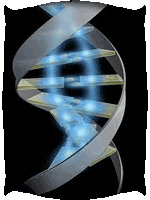 Indian Bio-technology  Industry