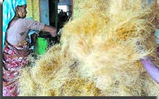 Women working in coir industry