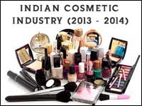 Indian Cosmetics Industry in 2013-2014