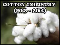 Indian Cotton in 2013-2014