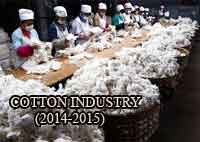 Indian Cotton in 2014-2015