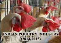 Indian Poultry Industry in 2014-2015
