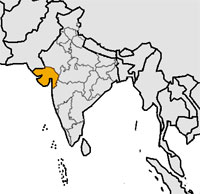 Gujarati Language