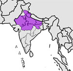 Hindi Language
