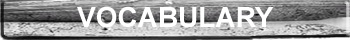 Vocabulary