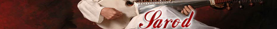 Sarod - Indian Musical Instument Sarod - Indian Musical Instument