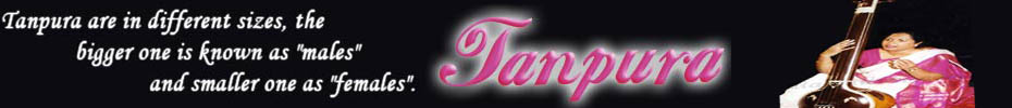 Tanpura - Indian Musical Instrument