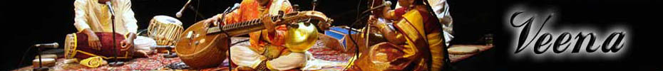 Veena - Indian Musical Instrument Veena - Indian Musical Instrument