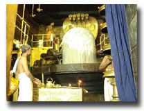 Swami Brahsdeeavaraa-Thanjavur
