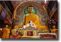 8 metre Statue - Sakyamuni Buddha - Tawang