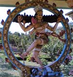 sankranthi sankranthi