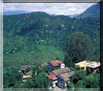 Almora