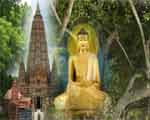 Bodh Gaya - Location
