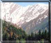 Great himalayan national park