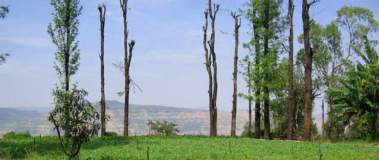 Indian Tourism Panchgani