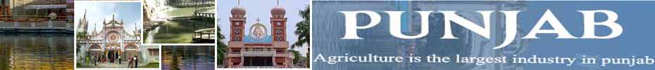 Punjab  - India