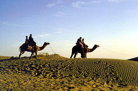 Thar Desert (West)