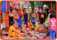 Handbag and Saree Shopping